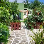 Afionas Das Gruene Haus