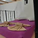 Afionas Das Gruene Haus