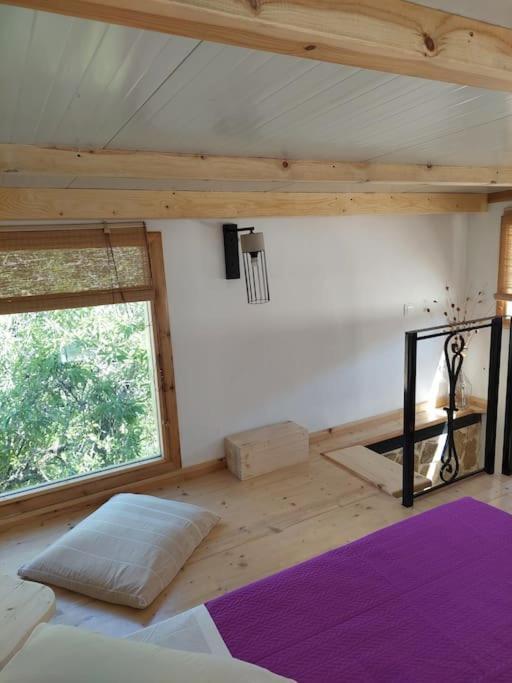 Gruene Haus Holiday home *